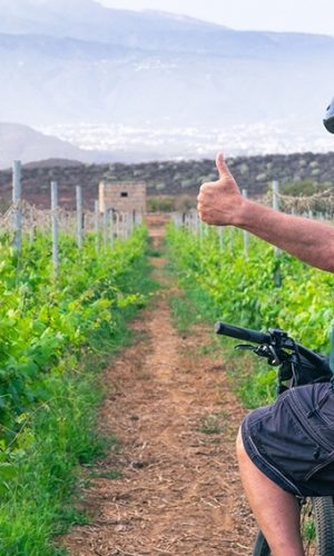 bicicleta entre viñedos