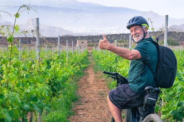 bicycle between vineyards