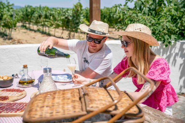 Esmorzar entre vinyes, visita i tast