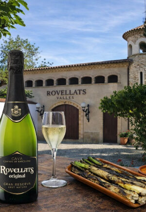 Calçotada & BBQ + Visit at Rovellats